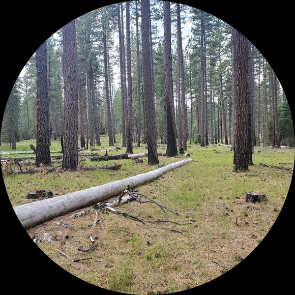 cache_cabin_nw